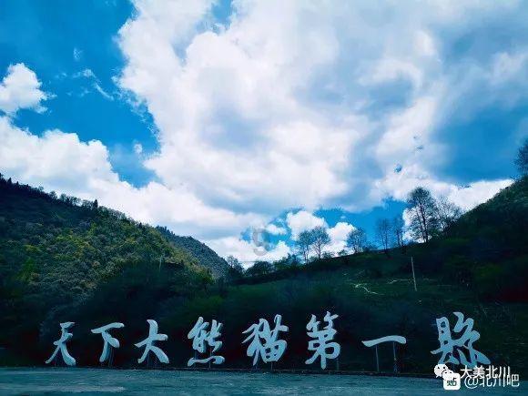 了解如何建立稳定的感情?最新动态的红迪网平台
